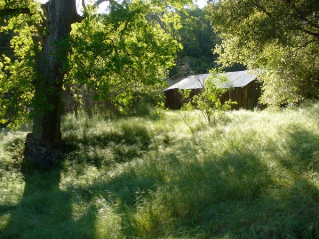 Barn