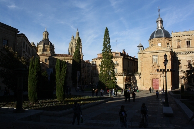 Mas Salamanca